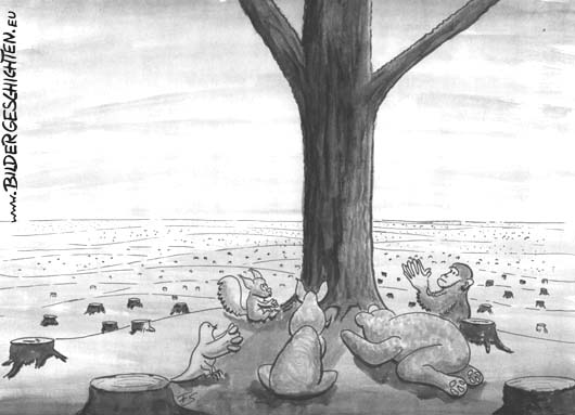 Umwelt - Wald - Karikatur