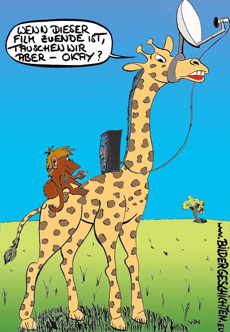 Zoo -  Cartoon